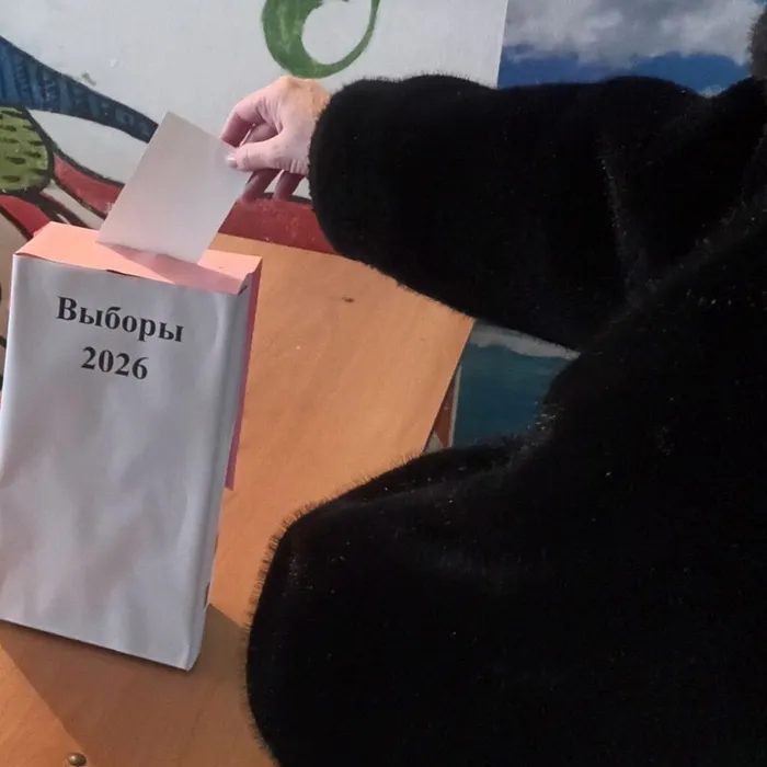 Время выбирать!