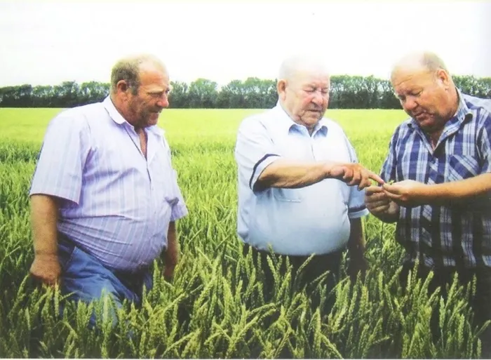 Кулик Сергей Сергеевич