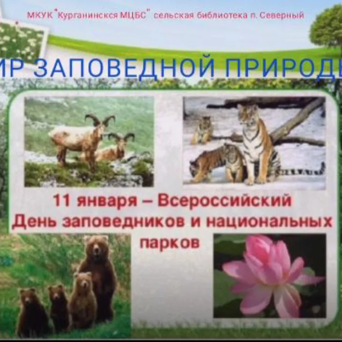 Мир заповедной природы