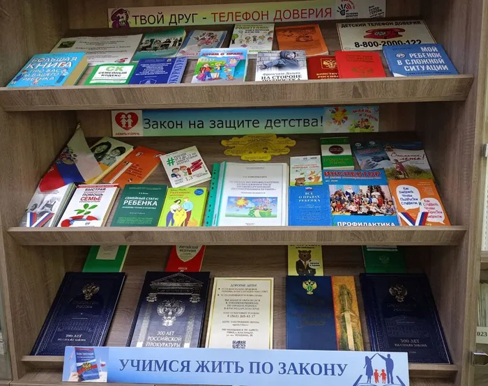 Проступок и преступление (3)