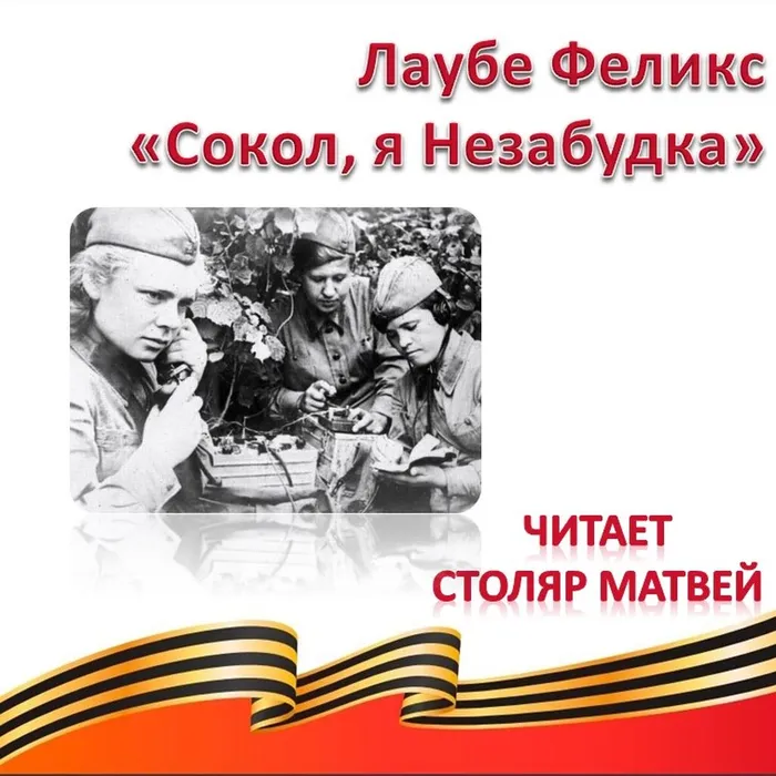 Лаубе Феликса «Сокол, я Незабудка»