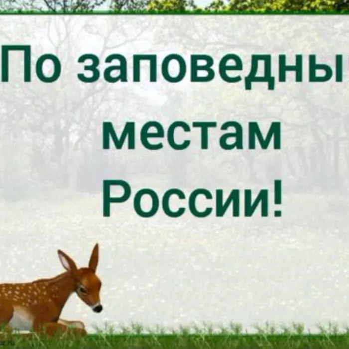 По заповедным местам России